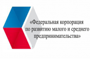Более 300 предпринимателей России уже обратилось в многофункциональные центры за услугами Корпорации МСП