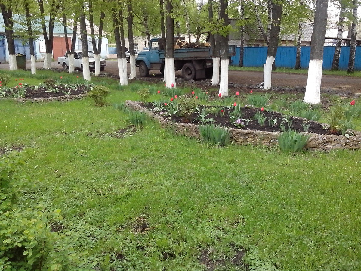 Изображение 3