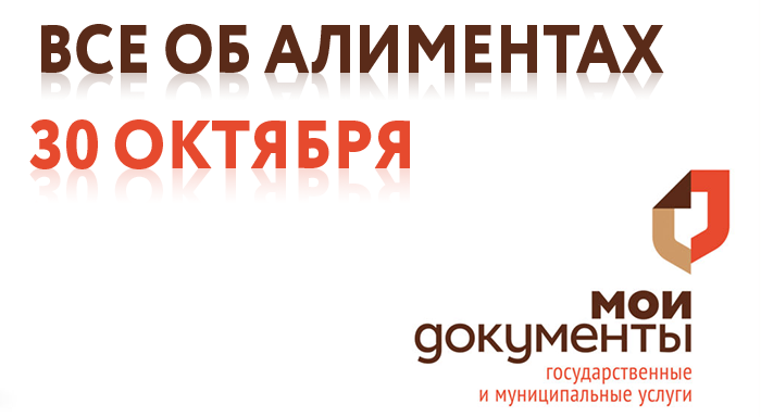 Все об алиментах