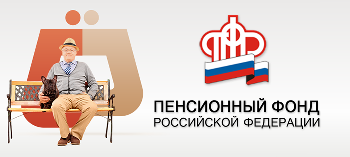 Информация о пенсионных накоплениях за несколько минут