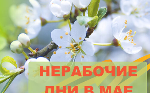 Актуальная информация