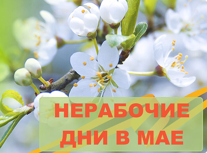 Актуальная информация