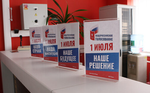 Голосование на дому