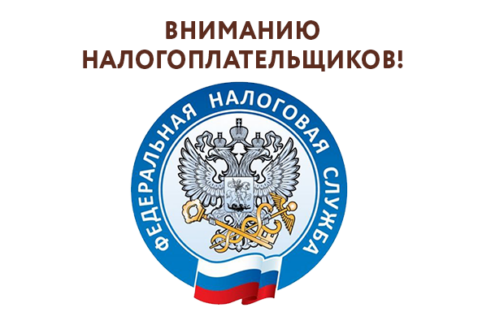 В МФЦ можно подать декларацию о доходах за 2020 год