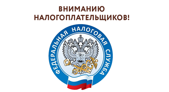 В МФЦ можно подать декларацию о доходах за 2020 год