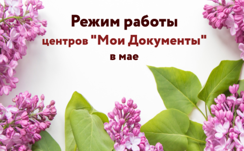 График работы центров «Мои Документы»