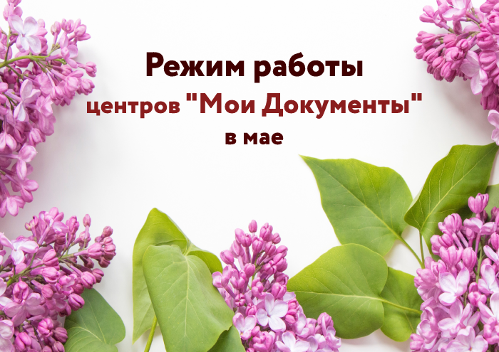 График работы центров «Мои Документы»