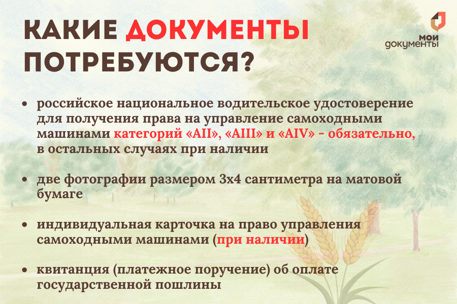 На связи коллеги из ДНР
