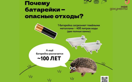 Сдай батарейку — спаси ёжика