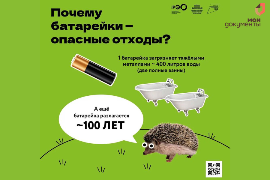 Сдай батарейку — спаси ёжика