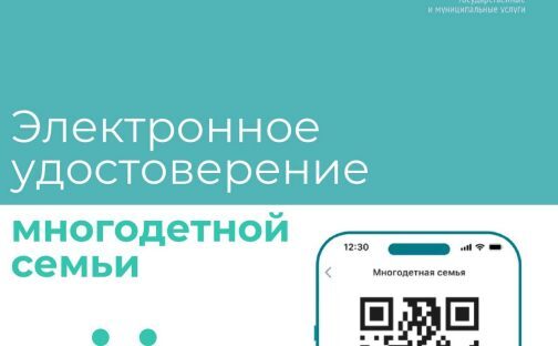 Всегда под рукой: электронное удостоверение многодетной семьи