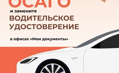 Оформить ОСАГО и заменить водительское удостоверение можно в МФЦ