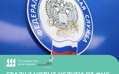 Сразу 2 новые услуги от налоговый службы появились в МФЦ